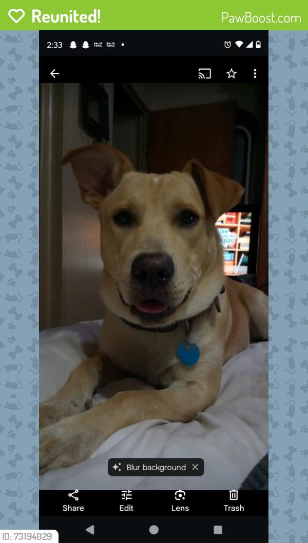 Reunited Male Dog last seen Valkaria, Malabar, FL 32950