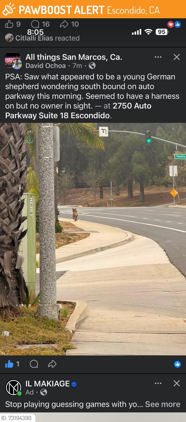 Found/Stray Unknown Dog last seen Country club dr, Escondido, CA 92029