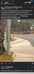Found/Stray Unknown Dog last seen Country club dr, Escondido, CA 92029