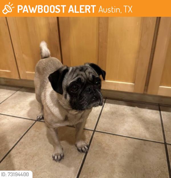 Found/Stray Male Dog last seen Live Oak st and Oltorf, Austin, TX 78704