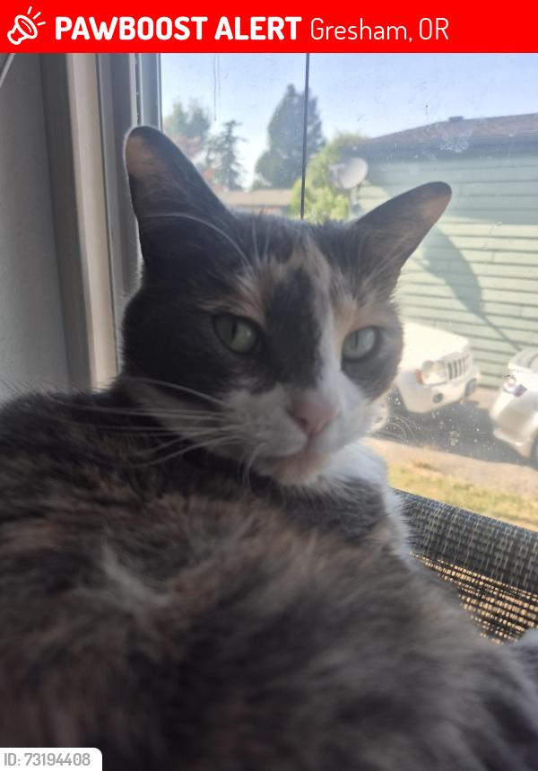 Lost Female Cat last seen Grandin park, Gresham, OR 97080