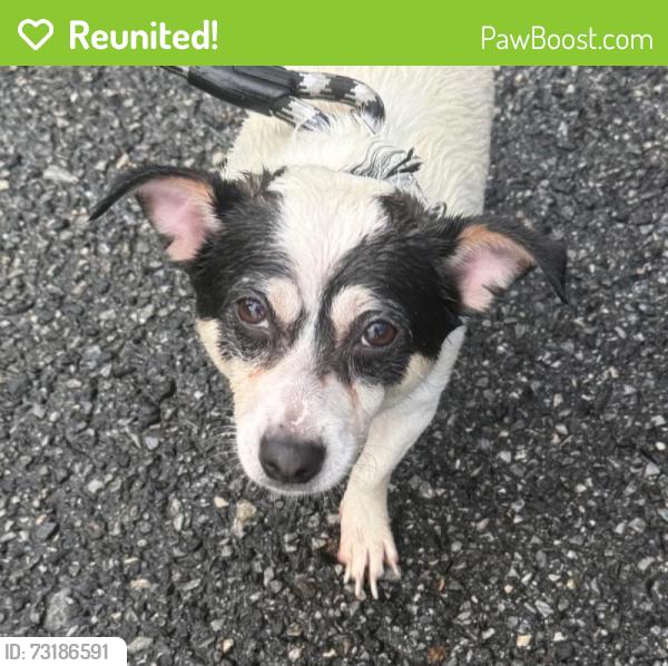 Reunited Unknown Dog last seen Hardin Road, Dallas, NC 28034