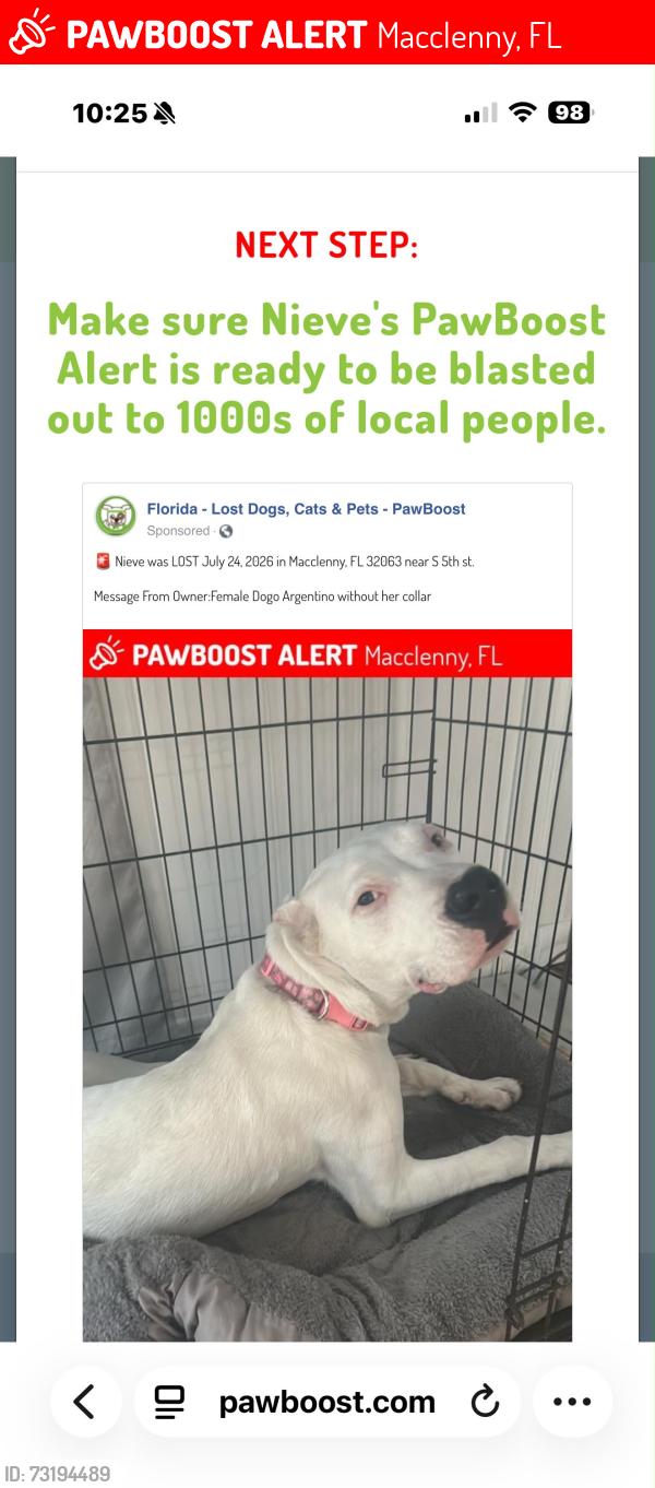 Lost Female Dog last seen Near wallmark,wabba gas station, Macclenny, FL 32063