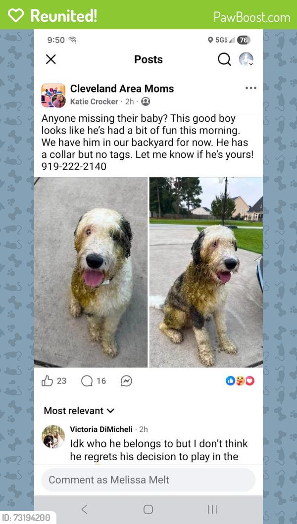 Reunited Male Dog last seen Sonny rd, Johnston County, NC 27520