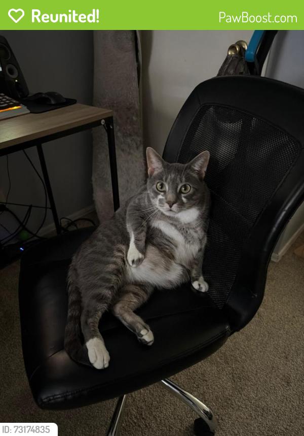 Reunited Male Cat last seen 25th street and Florence PLACE, Tulsa, OK 74114