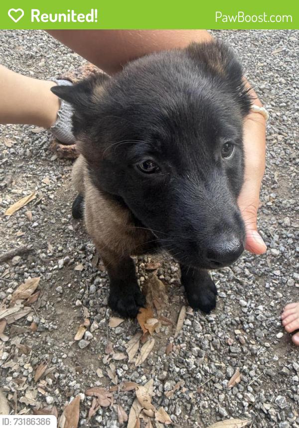 Reunited Male Dog last seen Poindexter, Cleburne, TX 76033