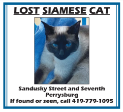 Lost Female Cat last seen Sanduskey & Seventh Perrysburg, Perrysburg, OH 43551