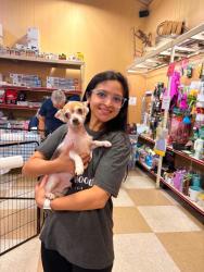Lost Male Dog last seen Andover Dr., Tyler, TX 75707