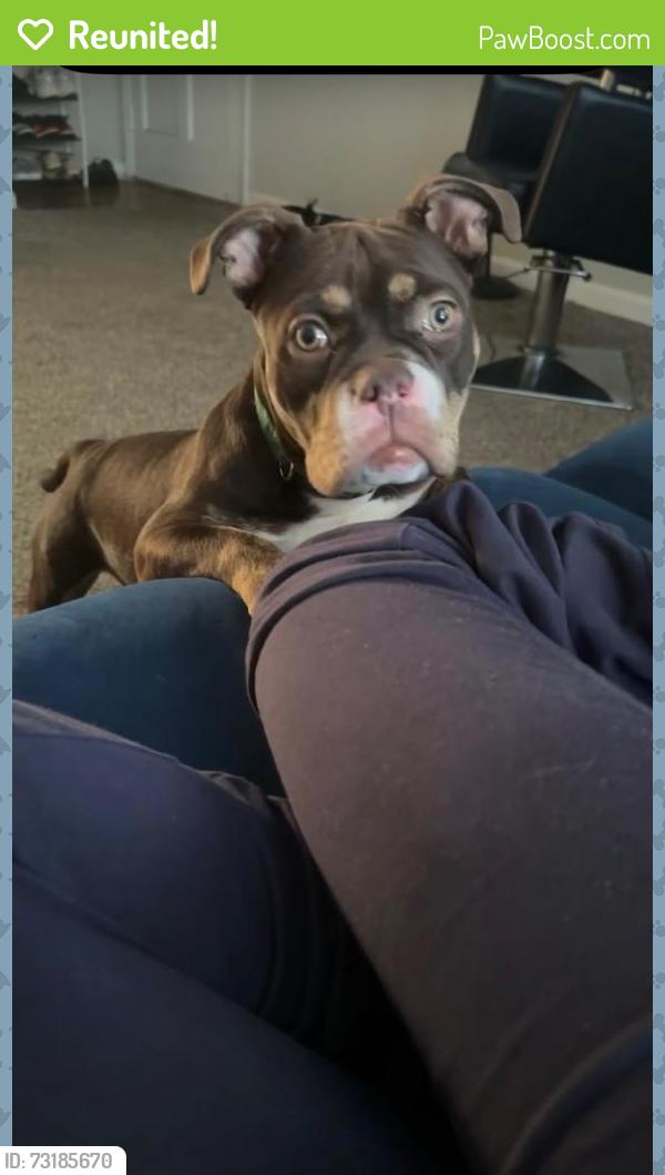 Reunited Female Dog last seen University garden apmts, Athens, GA 30606