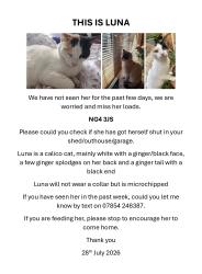 Lost Female Cat last seen Carlton Cemetery, Carlton, England NG4 3JS