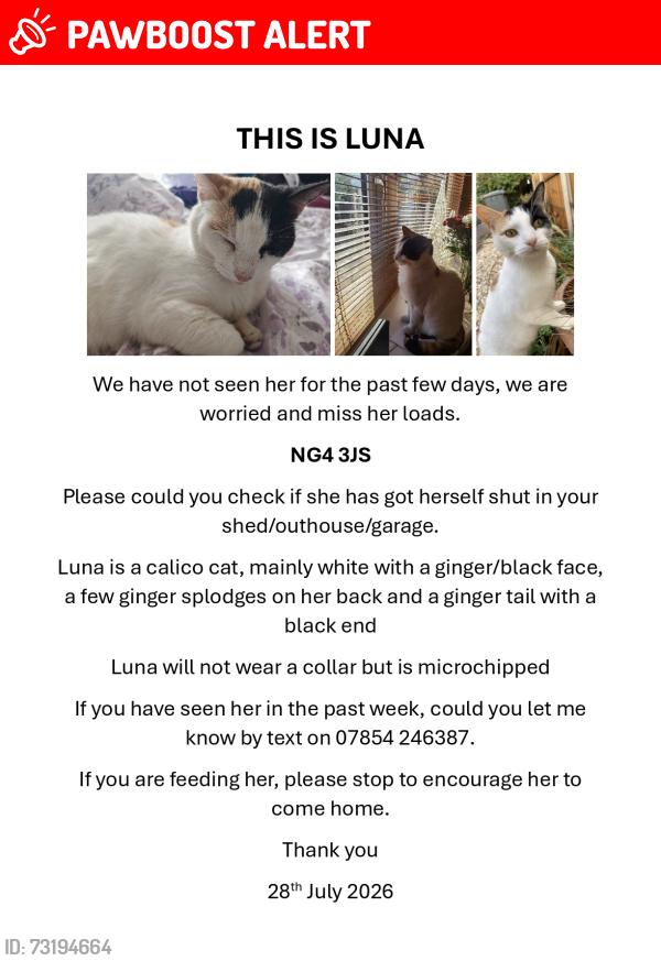 Lost Female Cat last seen Carlton Cemetery, Carlton, England NG4 3JS