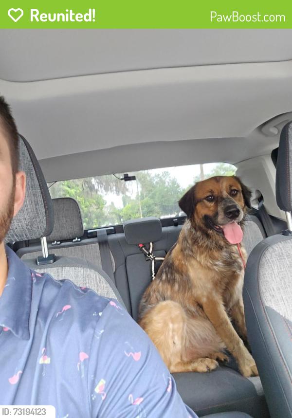 Reunited Male Dog last seen Lawrence Street/46, Sorrento, FL 32776