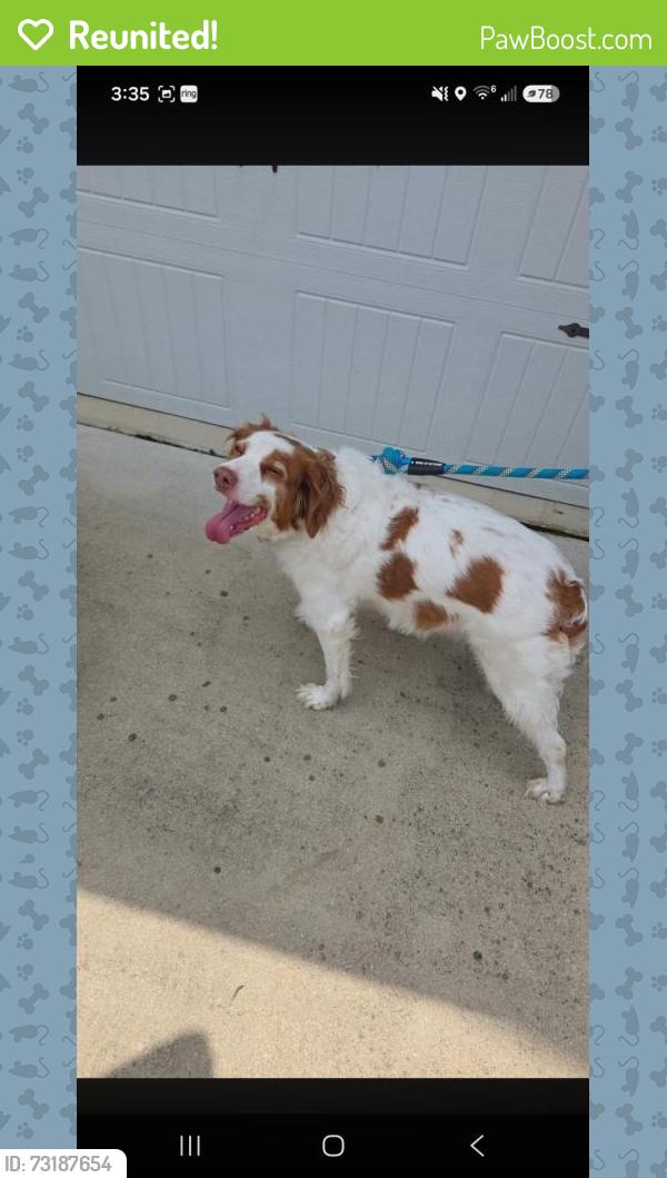 Reunited Female Dog last seen Ramsay and wolfpoint, Pine Forest, NC 28311