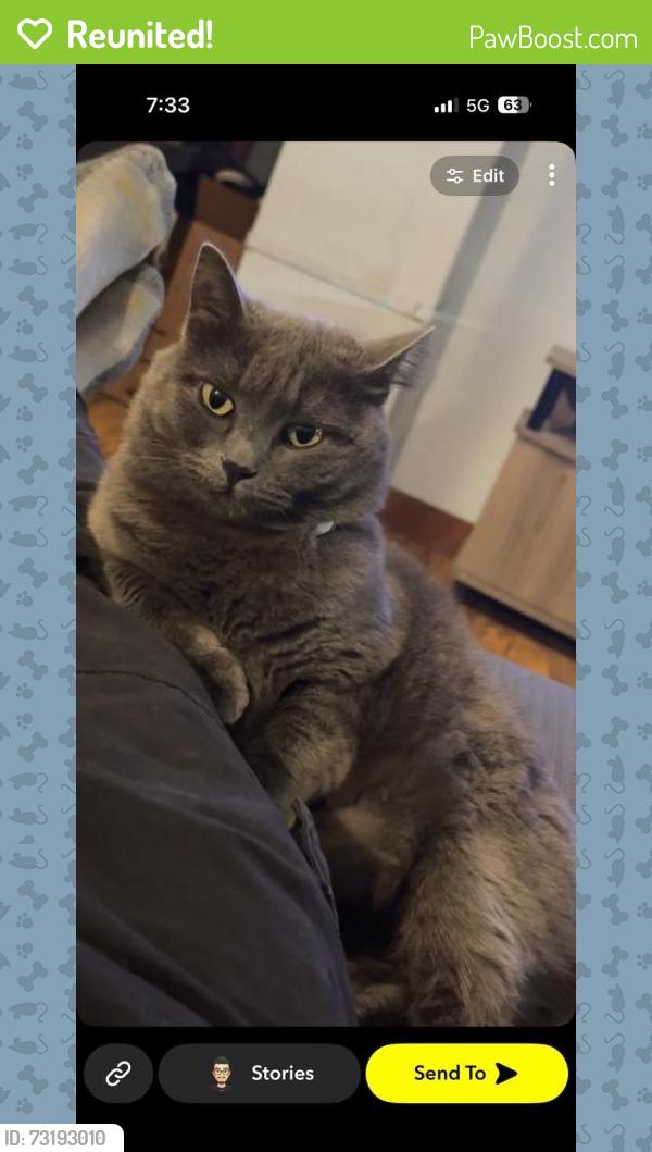 Reunited Female Cat last seen West 15th and Silver street, Sioux City, IA 51103