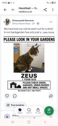 Lost Male Cat last seen Stapleton Hall Road, Greater London, England 