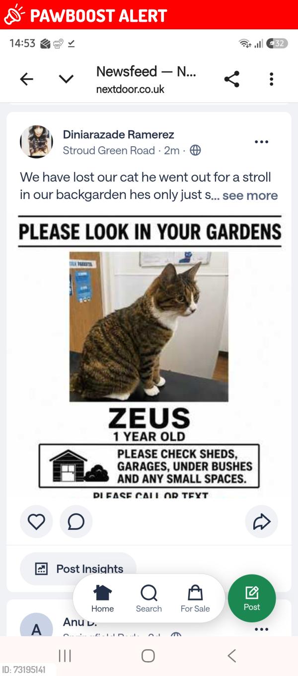 Lost Male Cat last seen Stapleton Hall Road, Greater London, England 