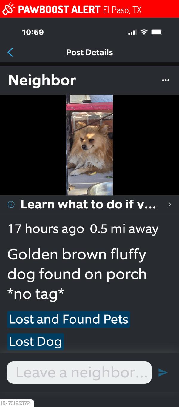Lost Male Dog last seen Near Ortega CT A, El Paso, TX 79907