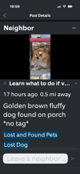 Lost Male Dog last seen Near Ortega CT A, El Paso, TX 79907