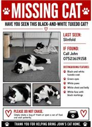 Lost Male Cat last seen Hayes lane, Slinfold, England 