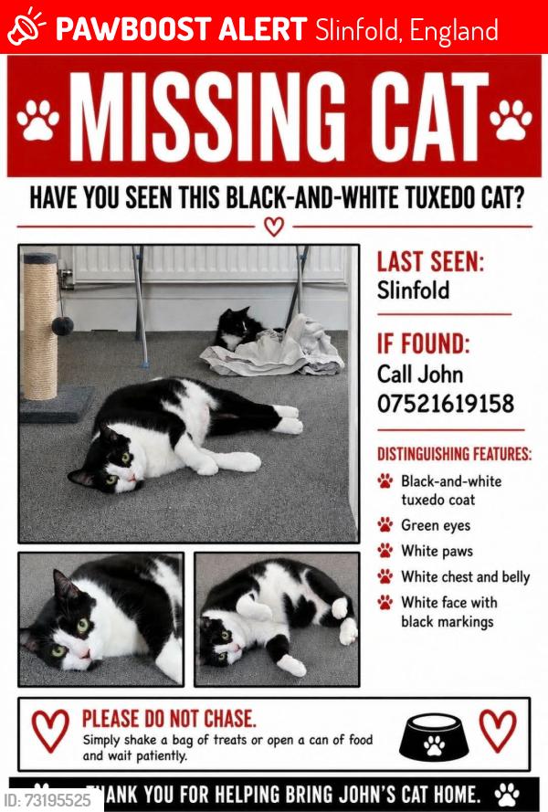 Lost Male Cat last seen Hayes lane, Slinfold, England 