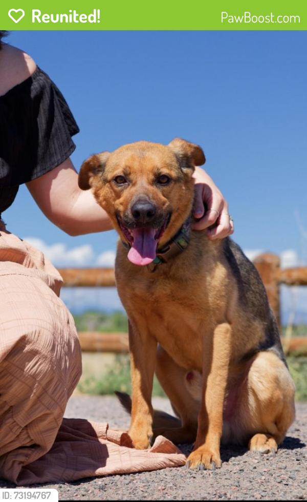Reunited Male Dog last seen Tufts & Smokey Hill at Crowne Point, Aurora, CO 80015