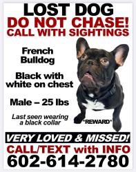 Lost Male Dog last seen Near and vanburen, Phoenix, AZ 85009