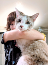 Reunited Male Cat last seen Last seen: corner Timber Trace Ln. & Sisson Rd, Titusville, FL 32780