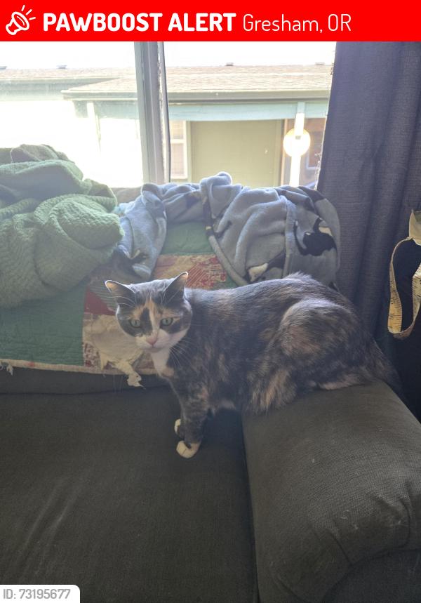 Lost Female Cat last seen Hogan Meadows #84, Gresham, OR 97080