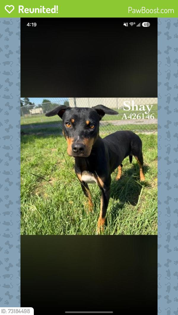 Reunited Female Dog last seen Shawnee and Tejas, Conroe, TX 77301