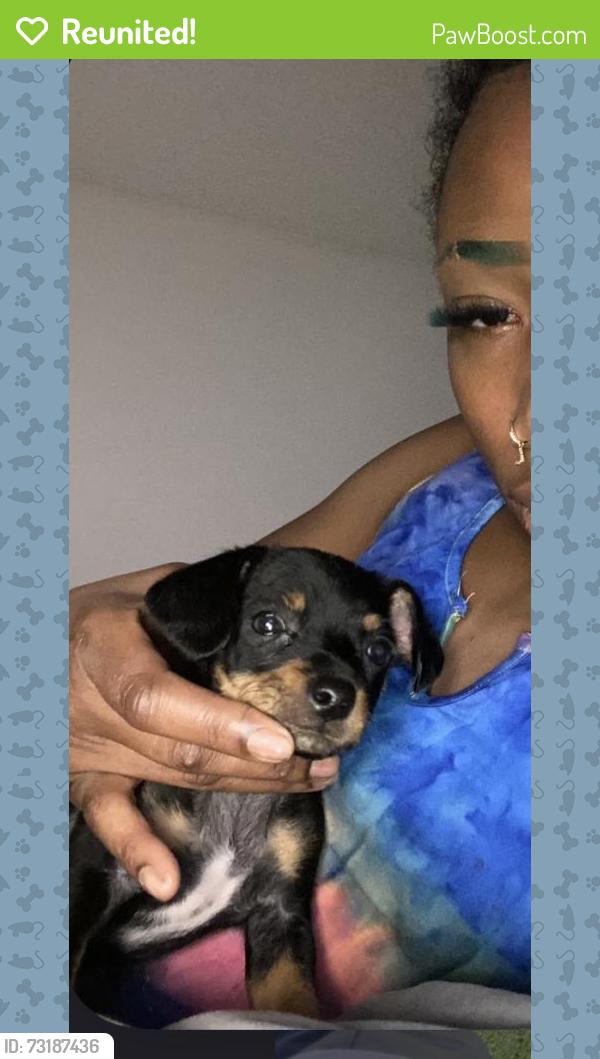 Reunited Male Dog last seen Candlewood Condominiums/ Av Cardiology, Lancaster, CA 93536