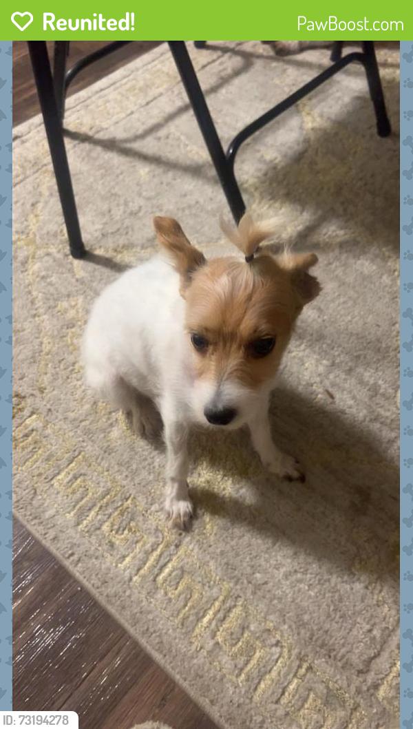 Reunited Female Dog last seen Near Harbour Lake Dr, Goose Creek, SC 29445, USA, Goose Creek, SC 29445
