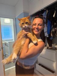 Reunited Male Cat last seen Opposite rugby club, Suffolk, England 