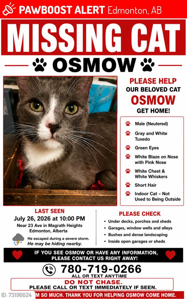 Lost Male Cat last seen Near Ave, Rabbit Hill, Edmonton, AB 