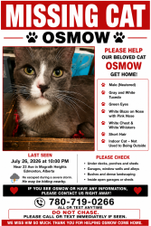 Lost Male Cat last seen Near Ave, Rabbit Hill, Edmonton, AB 
