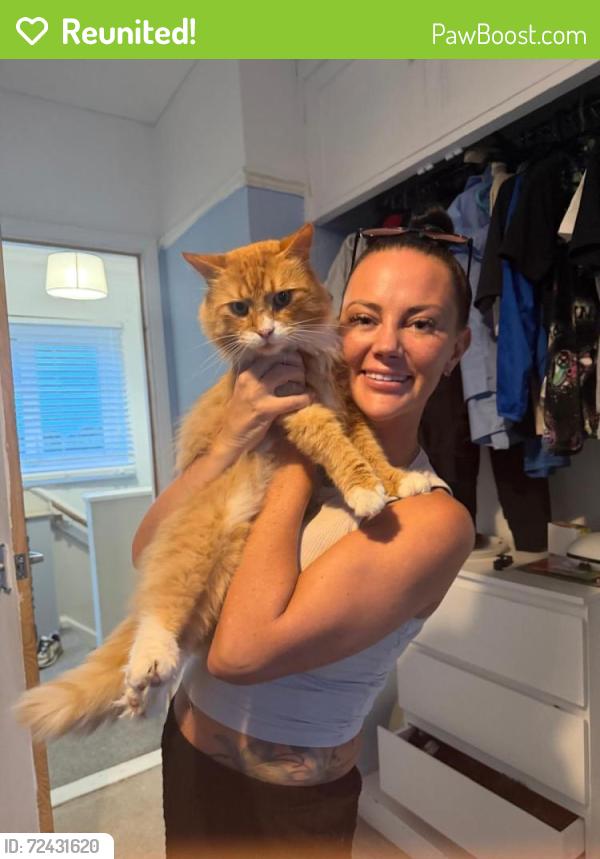 Reunited Male Cat last seen Opposite rugby club, Suffolk, England 
