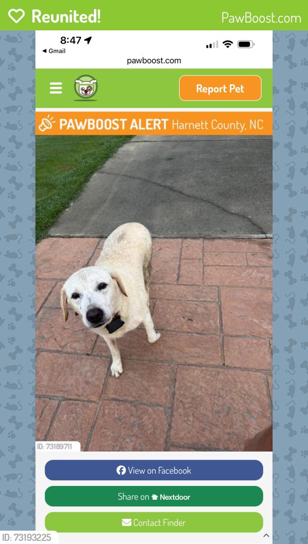 Reunited Male Dog last seen Cool springs/Dickens road, Harnett County, NC 27505