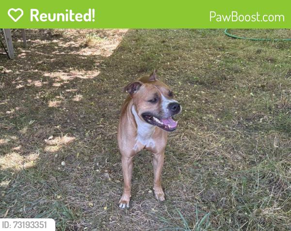 Reunited Male Dog last seen NE Cully Blvd & NE Roselawn St, Portland, OR 97218
