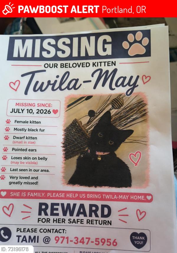 Lost Unknown Cat last seen Stark. Se . 122 126th. Alder., Portland, OR 97206