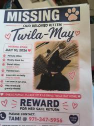 Lost Unknown Cat last seen Stark. Se . 122 126th. Alder., Portland, OR 97206