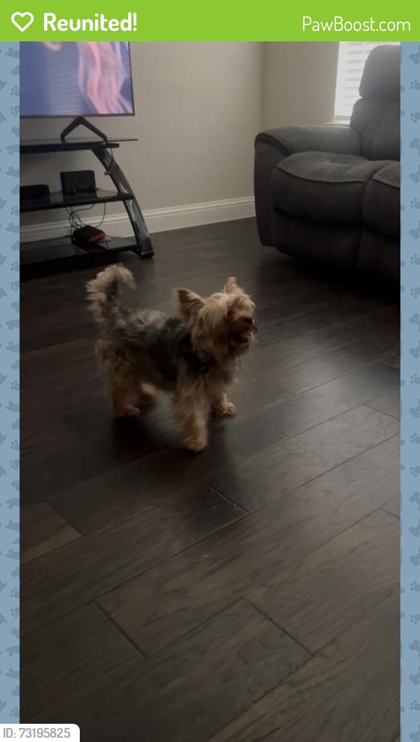 Reunited Male Dog last seen Dogwood dr , red oak, Red Oak, TX 75154