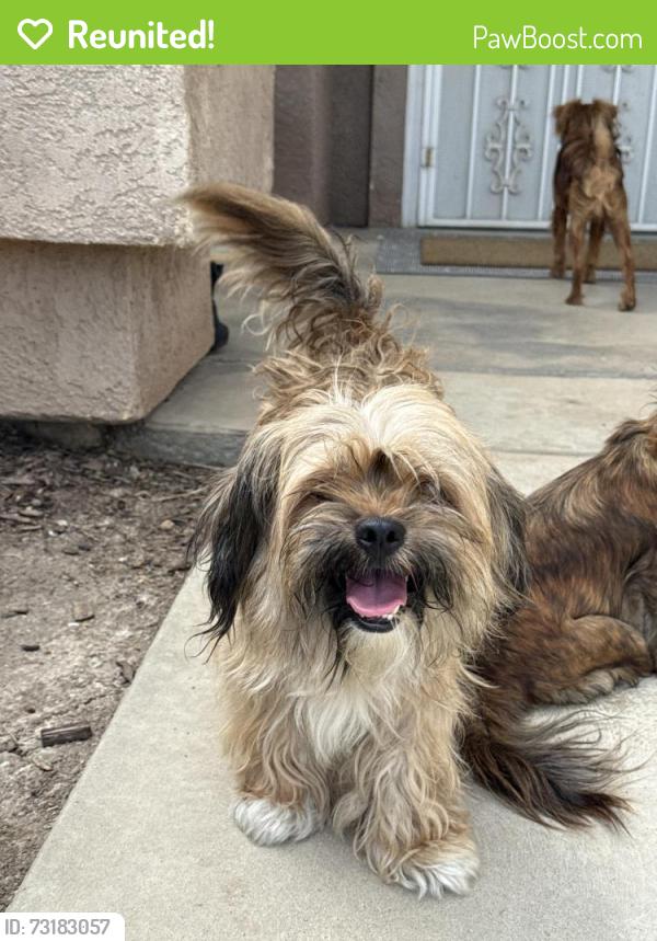 Reunited Male Dog last seen Milburn and herndon, Fresno, CA 93722