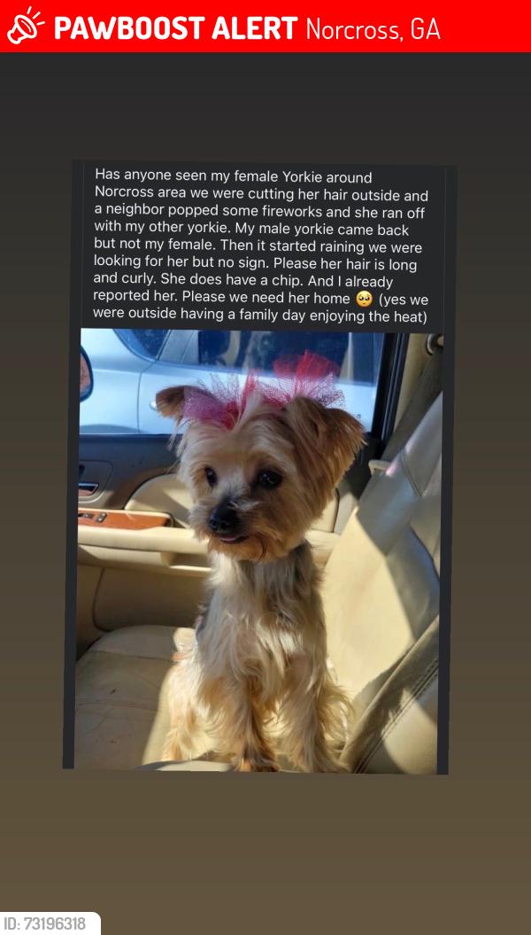 Lost Female Dog last seen Charmaine bend, Norcross, GA 30071