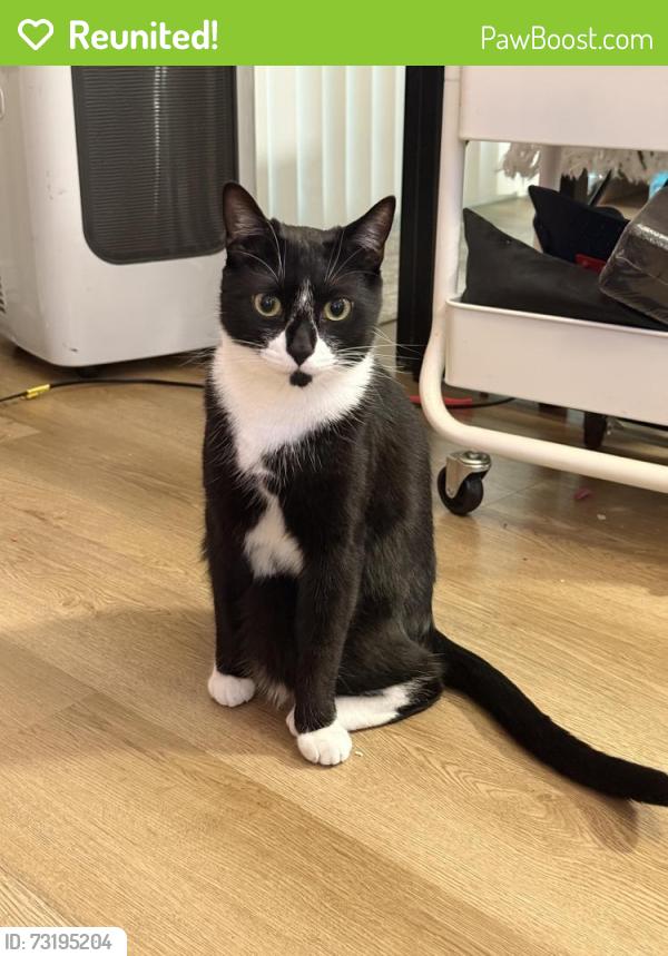 Reunited Male Cat last seen Our Lady Queen of Heaven Church, Tacoma, WA 98444