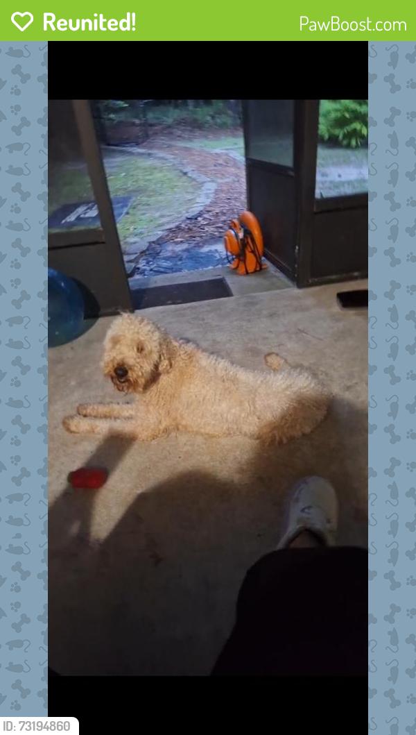 Reunited Male Dog last seen Near nw 104th ct, Gainesville, FL 32606