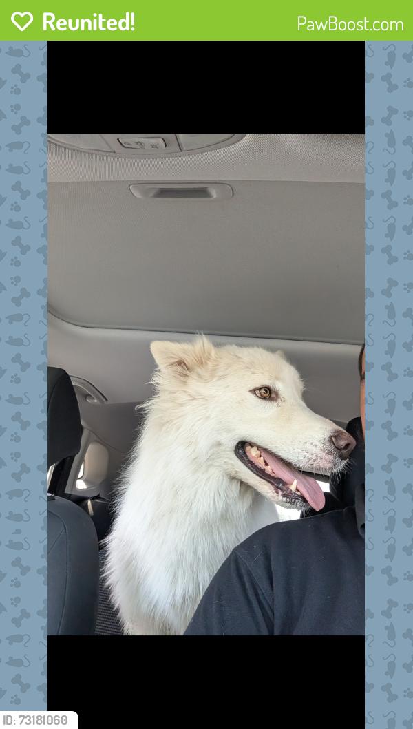 Reunited Unknown Dog last seen E Ontario Ave and Kellogg Ave, Corona, CA 92881