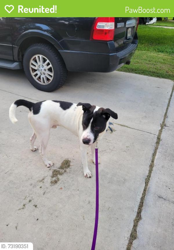 Reunited Male Dog last seen Timberhill between wurzbach & grissom, San Antonio, TX 78238