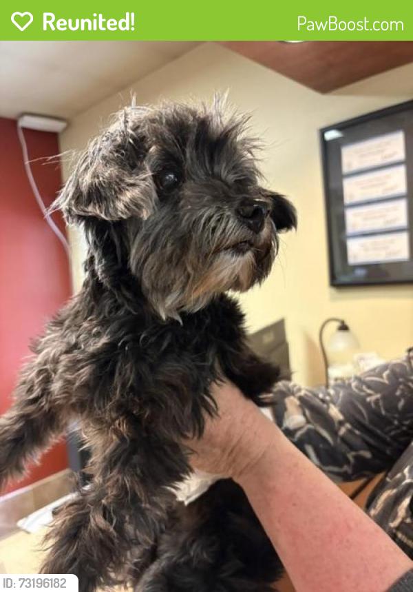 Reunited Male Dog last seen Our Lady of Lourdes, Raleigh, NC 27608