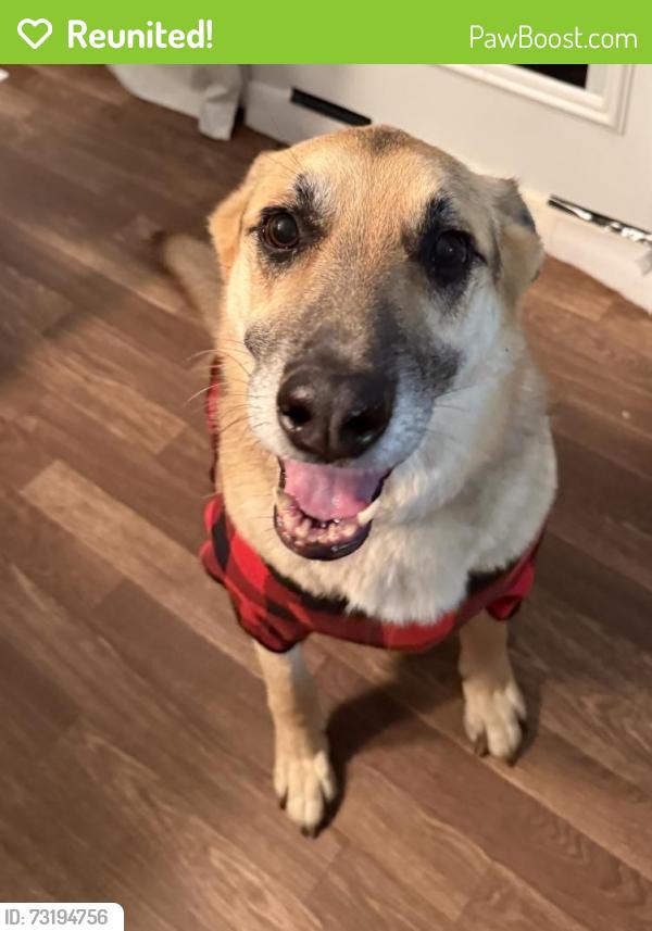 Reunited Female Dog last seen Hwy 92, Woodstock, GA 30189