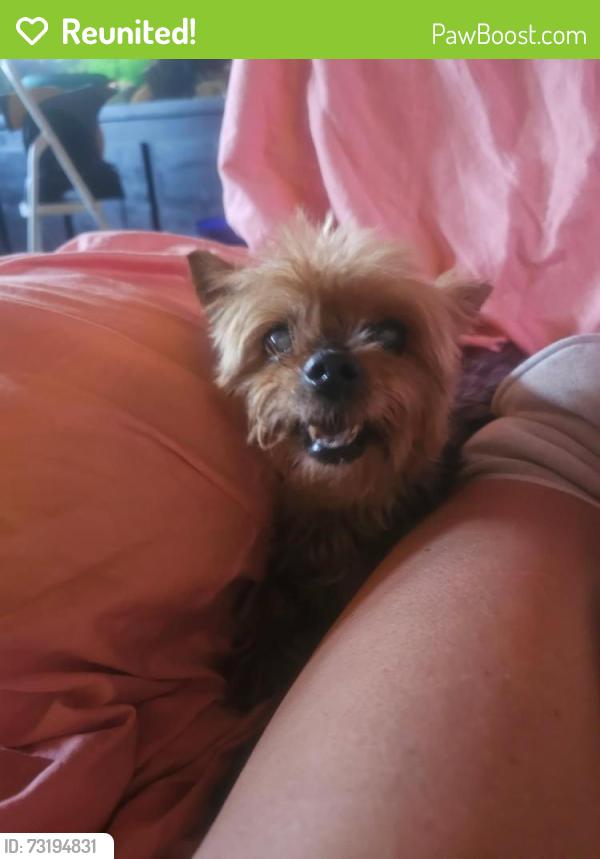 Reunited Female Dog last seen Fair oaks, Fair Oaks, CA 95628