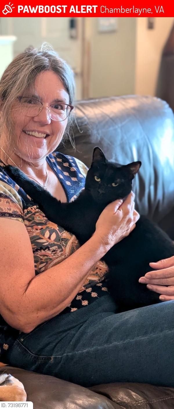 Lost Male Cat last seen Chamberlyne Farms, Chamberlayne, VA 23227